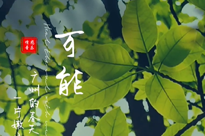 春天的广州，一片嫩绿