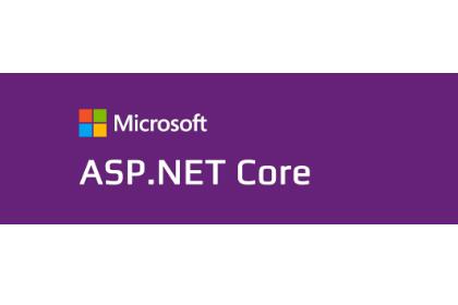 如何在 ASP.NET Core Web API 中处理 Patch 请求