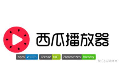 西瓜播放器 HTML5 视频播放器